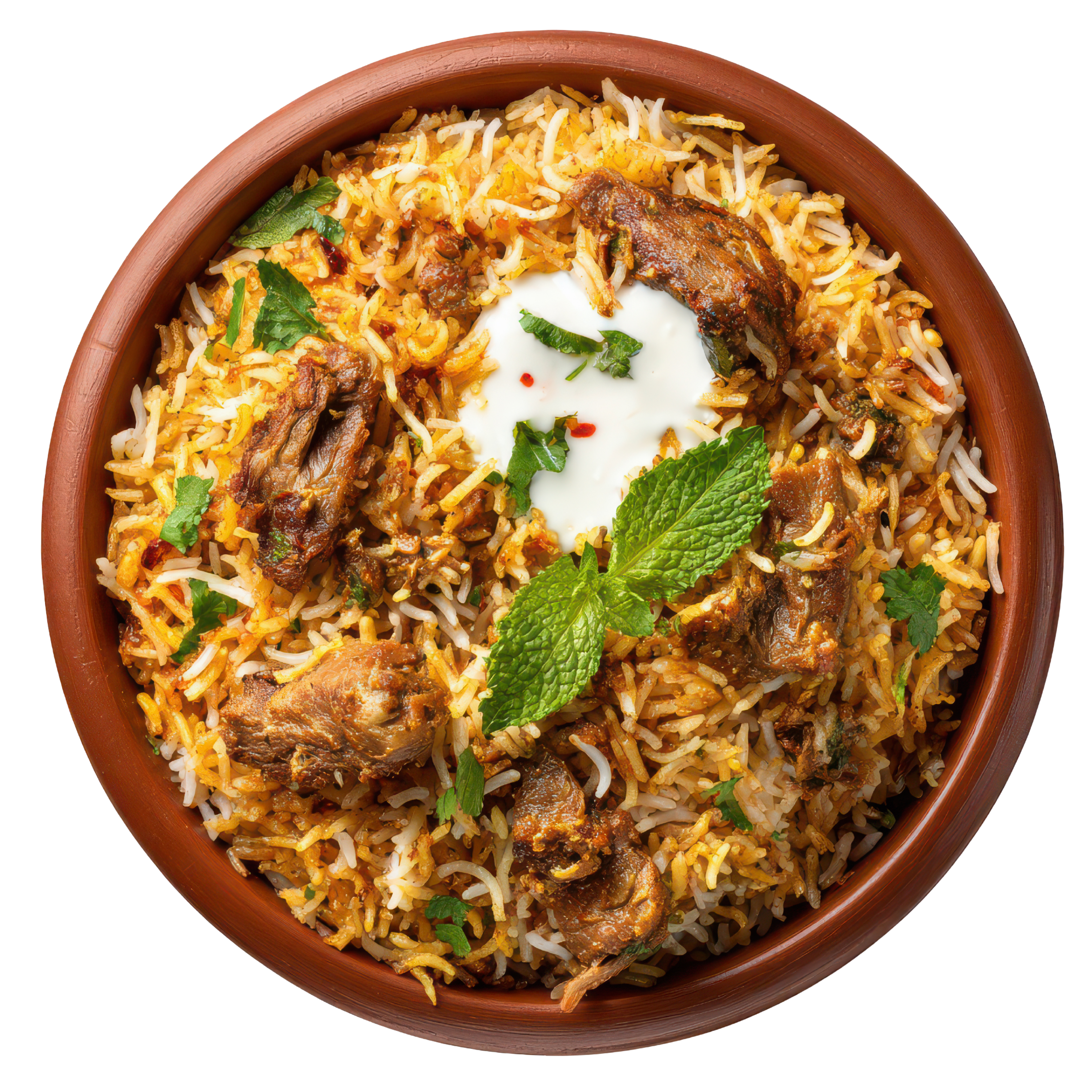 Special Karachi Biryani Bowl